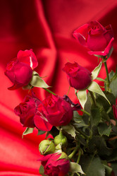 Similar image 10747490