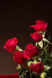 Similar image 10747493