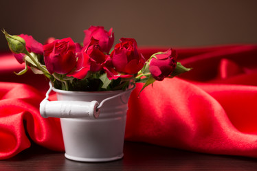 Similar image 10747494