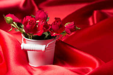 Similar image 10747497