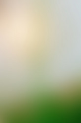 Similar image 10747507