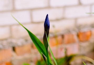 Similar image 10747508