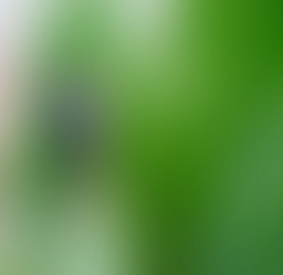 Similar image 10747509