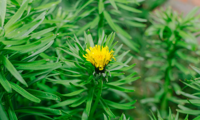 Similar image 10747512