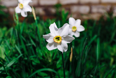 Similar image 10747517