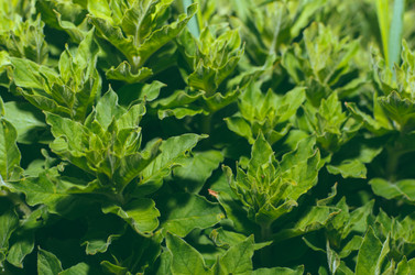 Similar image 10747531