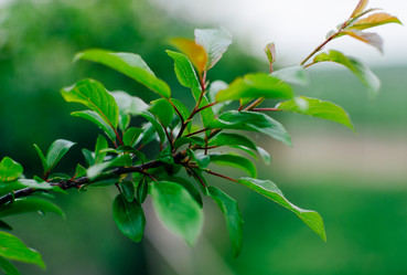 Similar image 10747583