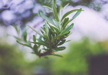 Similar image 10747585