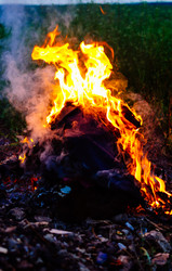 Similar image 10747586