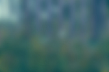 Similar image 10747591