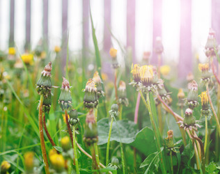 Similar image 10747593