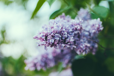 Similar image 10747597