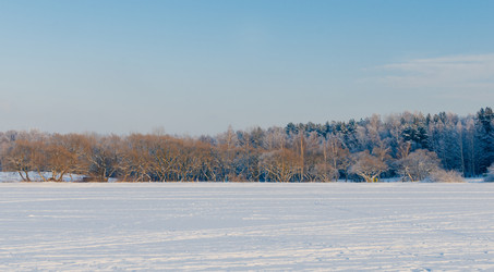 Similar image 10747645