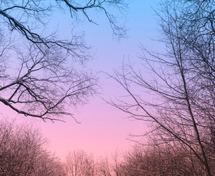 Similar image 10747652