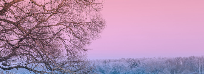 Similar image 10747653