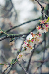 Similar image 10748026