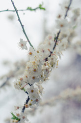 Similar image 10748028