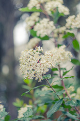 Similar image 10748029