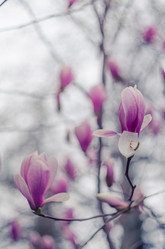 Similar image 10748030