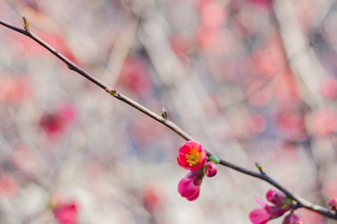 Similar image 10748036