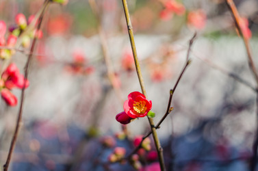 Similar image 10748067