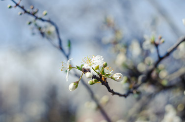 Similar image 10748069