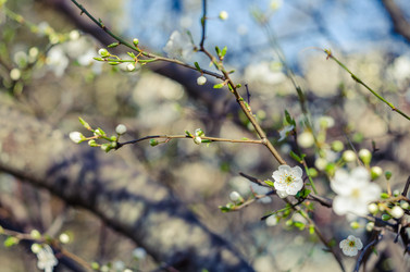 Similar image 10748070