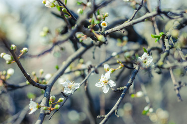 Similar image 10748072