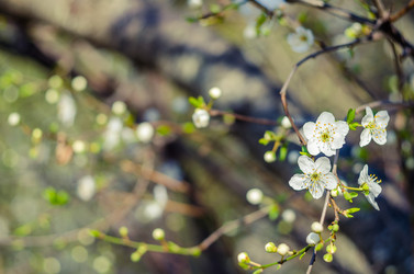 Similar image 10748074