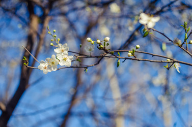 Similar image 10748076