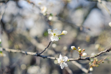 Similar image 10748077