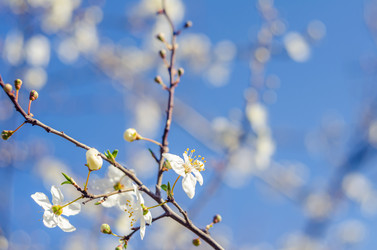 Similar image 10748079