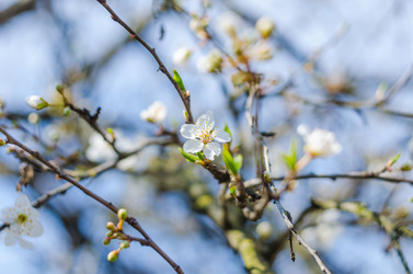 Similar image 10748081