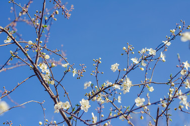 Similar image 10748083