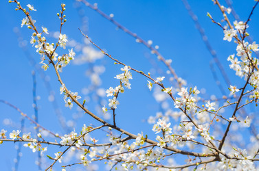 Similar image 10748087