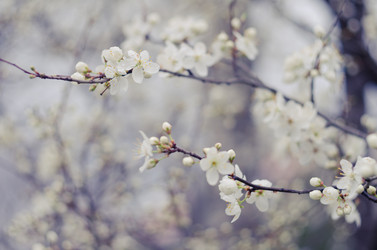 Similar image 10748089