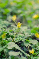 Similar image 10748091