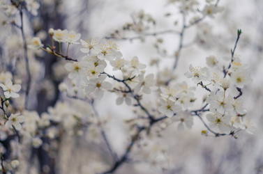 Similar image 10748093