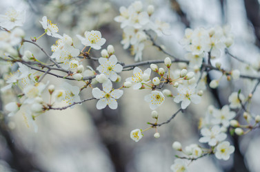 Similar image 10748095