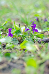 Similar image 10748099