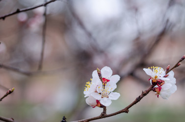 Similar image 10748190