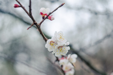 Similar image 10748192