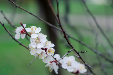 Similar image 10748194