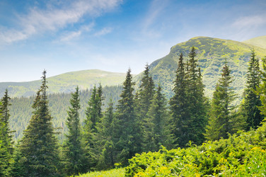 Similar image 10750765