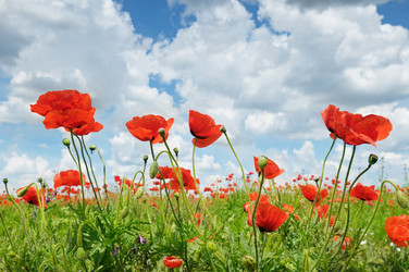 Similar image 10750769