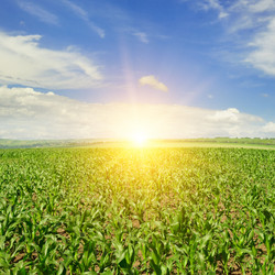 Similar image 10750777