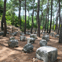 Similar image 10750846