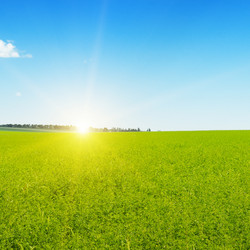 Similar image 10750848