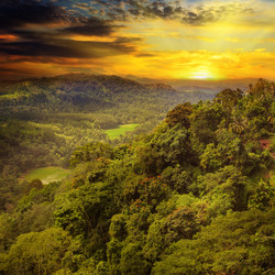 Similar image 10750925