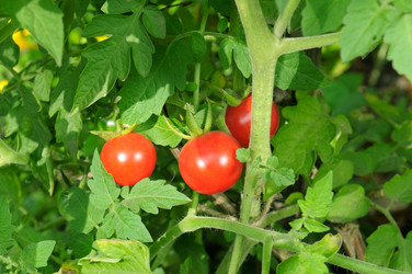 Similar image 10750940